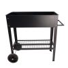 Aveyas Mobile Metal Raised Garden Bed Cart with Legs, Elevated Tall Planter Box with Wheels for Outdoor Indoors House Patio Backyard Vegetables Tomato