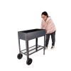 Aveyas Mobile Metal Raised Garden Bed Cart with Legs, Elevated Tall Planter Box with Wheels for Outdoor Indoors House Patio Backyard Vegetables Tomato